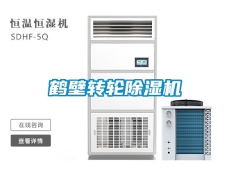 常見(jiàn)問(wèn)題鶴壁轉(zhuǎn)輪除濕機(jī)