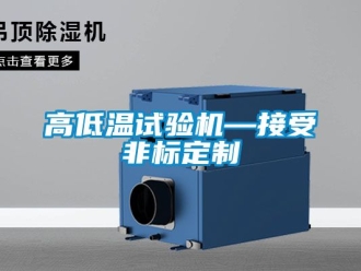 常見問題高低溫試驗機(jī)—接受非標(biāo)定制