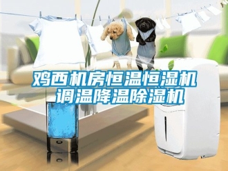 知識百科雞西機房恒溫恒濕機 調(diào)溫降溫除濕機