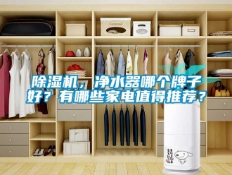 企業(yè)新聞除濕機，凈水器哪個牌子好？有哪些家電值得推薦？