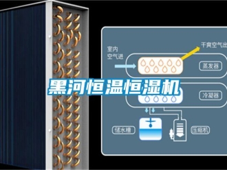知識百科黑河恒溫恒濕機(jī)