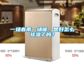 常見問題一場春雨一場暖，想好怎么祛濕了嗎？