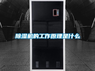 企業(yè)新聞除濕機(jī)的工作原理是什么