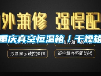知識(shí)百科重慶真空恒溫箱／干燥箱