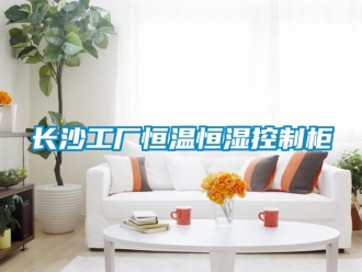 知識(shí)百科長(zhǎng)沙工廠恒溫恒濕控制柜