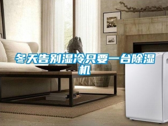 企業(yè)新聞冬天告別濕冷只要一臺(tái)除濕機(jī)
