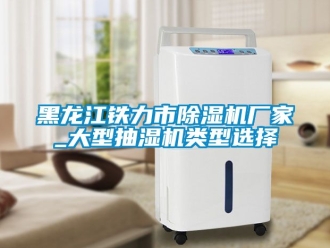 企業(yè)新聞黑龍江鐵力市除濕機廠家_大型抽濕機類型選擇