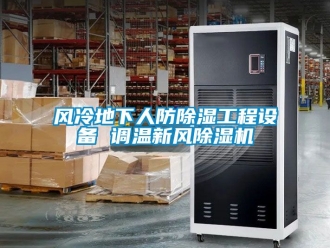 常見問題風冷地下人防除濕工程設(shè)備 調(diào)溫新風除濕機