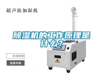 企業(yè)新聞除濕機(jī)的工作原理是什么？
