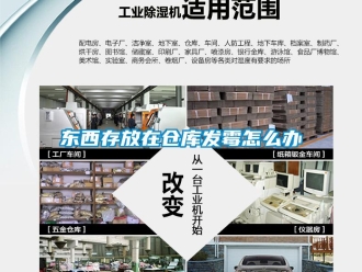 常見(jiàn)問(wèn)題東西存放在倉(cāng)庫(kù)發(fā)霉怎么辦