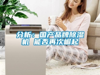 企業(yè)新聞分析：國產(chǎn)品牌除濕機(jī) 能否再次崛起