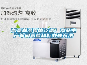 企業(yè)新聞高溫潮濕霉菌泛濫！食品生產(chǎn)車間霉菌超標(biāo)處理方法