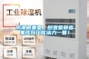 防潮很重要，廚壹堂靜音集成灶讓你活力一夏！