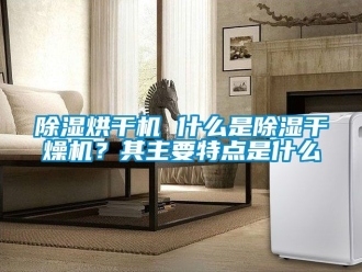 企業(yè)新聞除濕烘干機 什么是除濕干燥機？其主要特點是什么