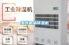 漳州食品除濕機