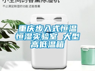 知識(shí)百科重慶步入式恒溫恒濕實(shí)驗(yàn)室 大型高低溫箱