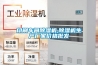 印刷車(chē)間除濕機,除濕機生產(chǎn)廠(chǎng)家價(jià)格批發(fā)