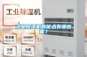 工業(yè)除濕機的優(yōu)點(diǎn)有哪些呢？