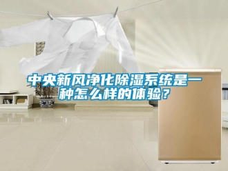 常見問題中央新風(fēng)凈化除濕系統(tǒng)是一種怎么樣的體驗(yàn)？