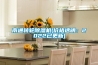 南通轉(zhuǎn)輪除濕機(jī)(價(jià)格透明：2022已更新)