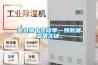 金九銀十裝修季，預防潮濕是關(guān)鍵。