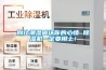 別讓潮濕破壞你的心情 除濕機一定要用上！