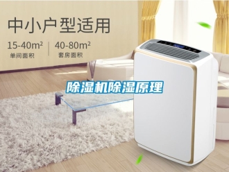 企業(yè)新聞除濕機除濕原理