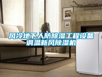 常見問(wèn)題風(fēng)冷地下人防除濕工程設(shè)備調(diào)溫新風(fēng)除濕機(jī)