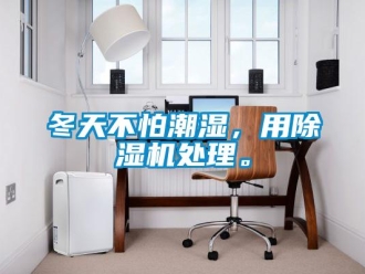 企業(yè)新聞冬天不怕潮濕，用除濕機(jī)處理。