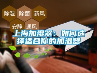 常見問題上海加濕器：如何選擇適合你的加濕器