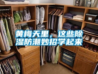 常見(jiàn)問(wèn)題黃梅天里，這些除濕防潮妙招學(xué)起來(lái)