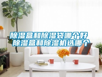 企業(yè)新聞除濕盒和除濕袋哪個好 除濕盒和除濕機選哪個