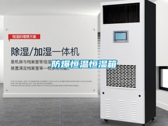 知識(shí)百科防爆恒溫恒濕箱