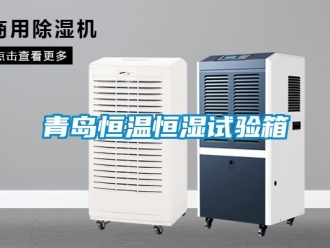 知識(shí)百科青島恒溫恒濕試驗(yàn)箱