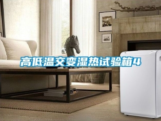 常見問(wèn)題高低溫交變濕熱試驗(yàn)箱4