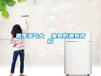 常見問題雨季濕氣大  家具防潮有高招
