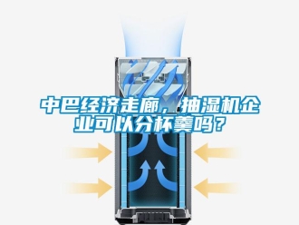 常見問題中巴經(jīng)濟走廊，抽濕機企業(yè)可以分杯羹嗎？