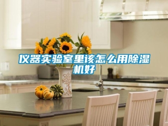 常見(jiàn)問(wèn)題儀器實(shí)驗(yàn)室里該怎么用除濕機(jī)好
