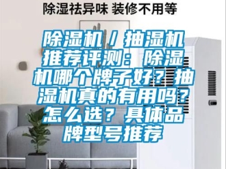 企業(yè)新聞除濕機／抽濕機推薦評測：除濕機哪個牌子好？抽濕機真的有用嗎？怎么選？具體品牌型號推薦