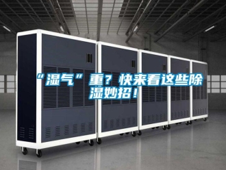 常見問題“濕氣”重？快來看這些除濕妙招！