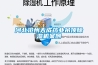 河北滄州天成藥業(yè)吊頂除濕機案例