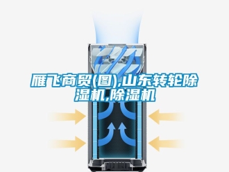 常見問題雁飛商貿(mào)(圖),山東轉(zhuǎn)輪除濕機,除濕機