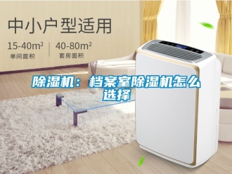 企業(yè)新聞除濕機：檔案室除濕機怎么選擇