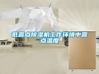 企業(yè)新聞低露點(diǎn)除濕機(jī)工作環(huán)境中露點(diǎn)溫度