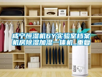 新聞資訊咸寧恒濕機(jī)6Y實(shí)驗(yàn)室檔案機(jī)房除濕加濕一體機(jī)_重復(fù)