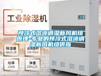 企業(yè)新聞?lì)A(yù)冷式溶液調(diào)濕新風(fēng)機(jī)組原理-專業(yè)的預(yù)冷式溶液調(diào)濕新風(fēng)機(jī)組供應(yīng)