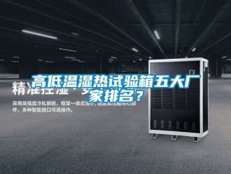 常見問題高低溫濕熱試驗箱五大廠家排名？