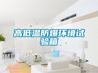 企業(yè)新聞高低溫防爆環(huán)境試驗(yàn)箱