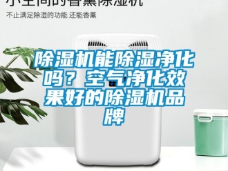企業(yè)新聞除濕機(jī)能除濕凈化嗎？空氣凈化效果好的除濕機(jī)品牌