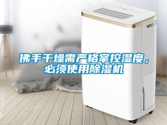 企業(yè)新聞佛手干燥需嚴(yán)格掌控濕度，必須使用除濕機(jī)